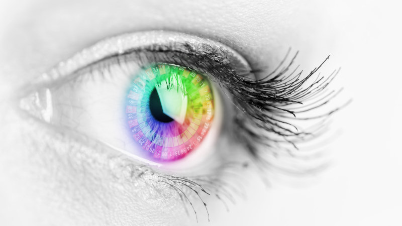 MyRulet Visual Prediction System VB2